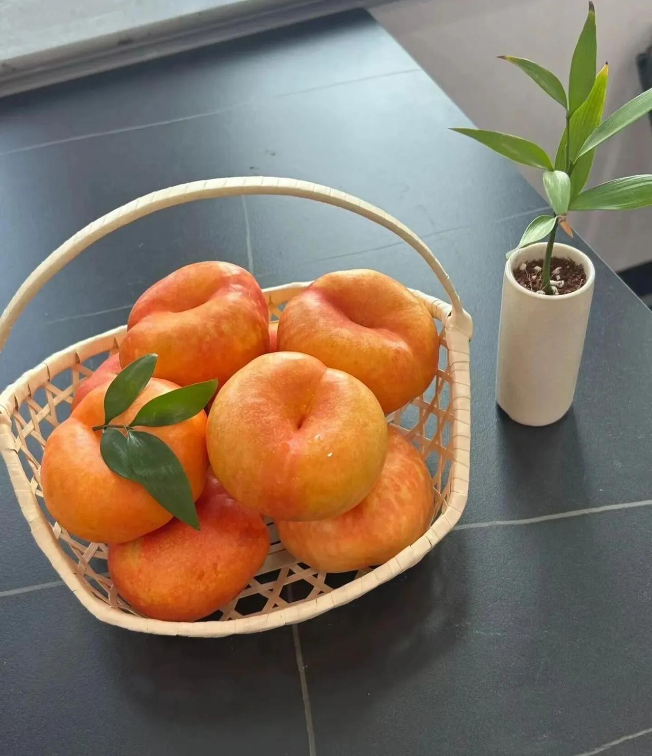 叙说吃桃子夏季到了，桃子熟了，作为一名平谷人每天吃一两个桃子好像是必修课，每家