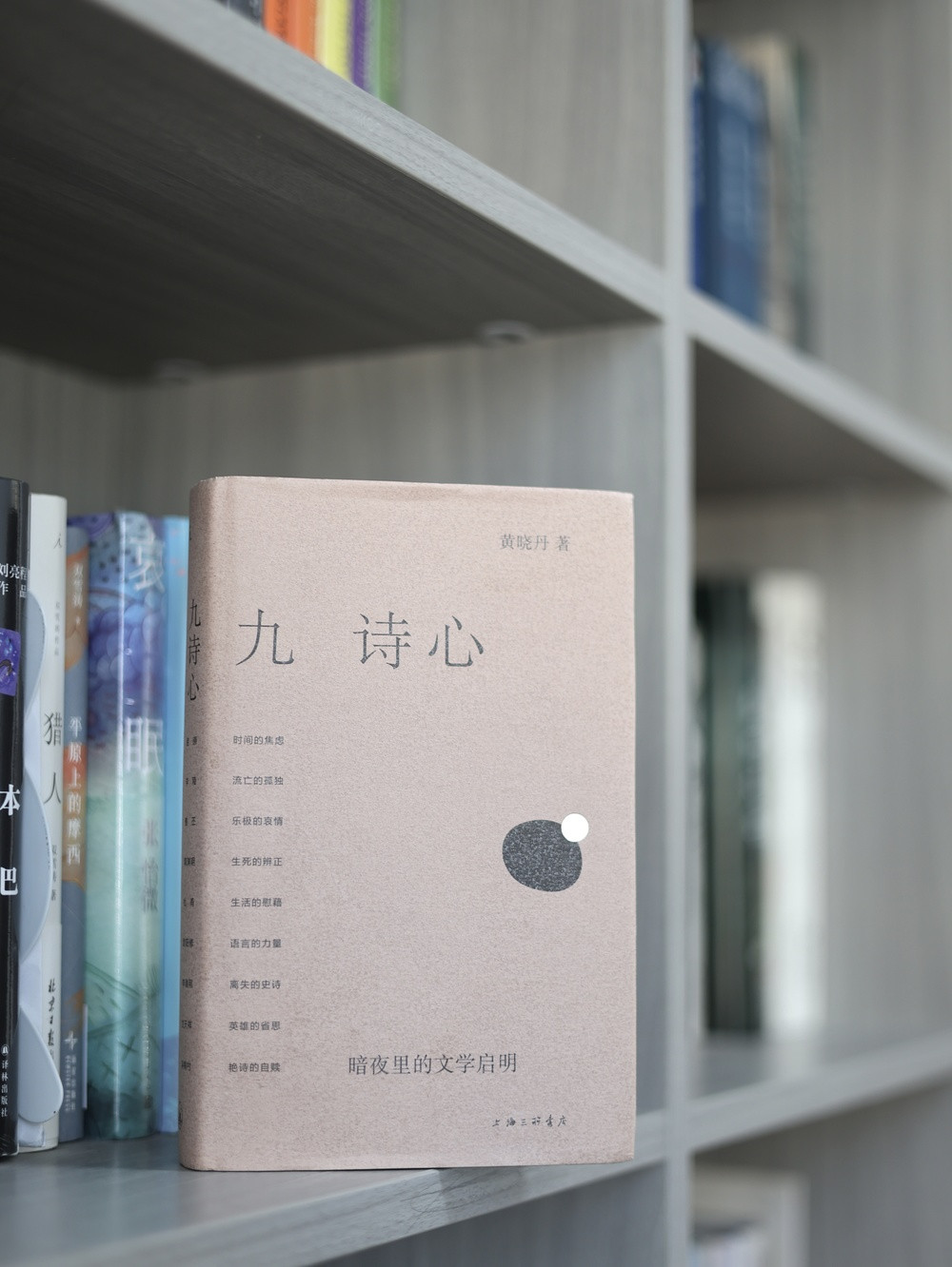 暗夜中的诗人, 从诗歌中得到了救赎 | 书评·盛唐小仙