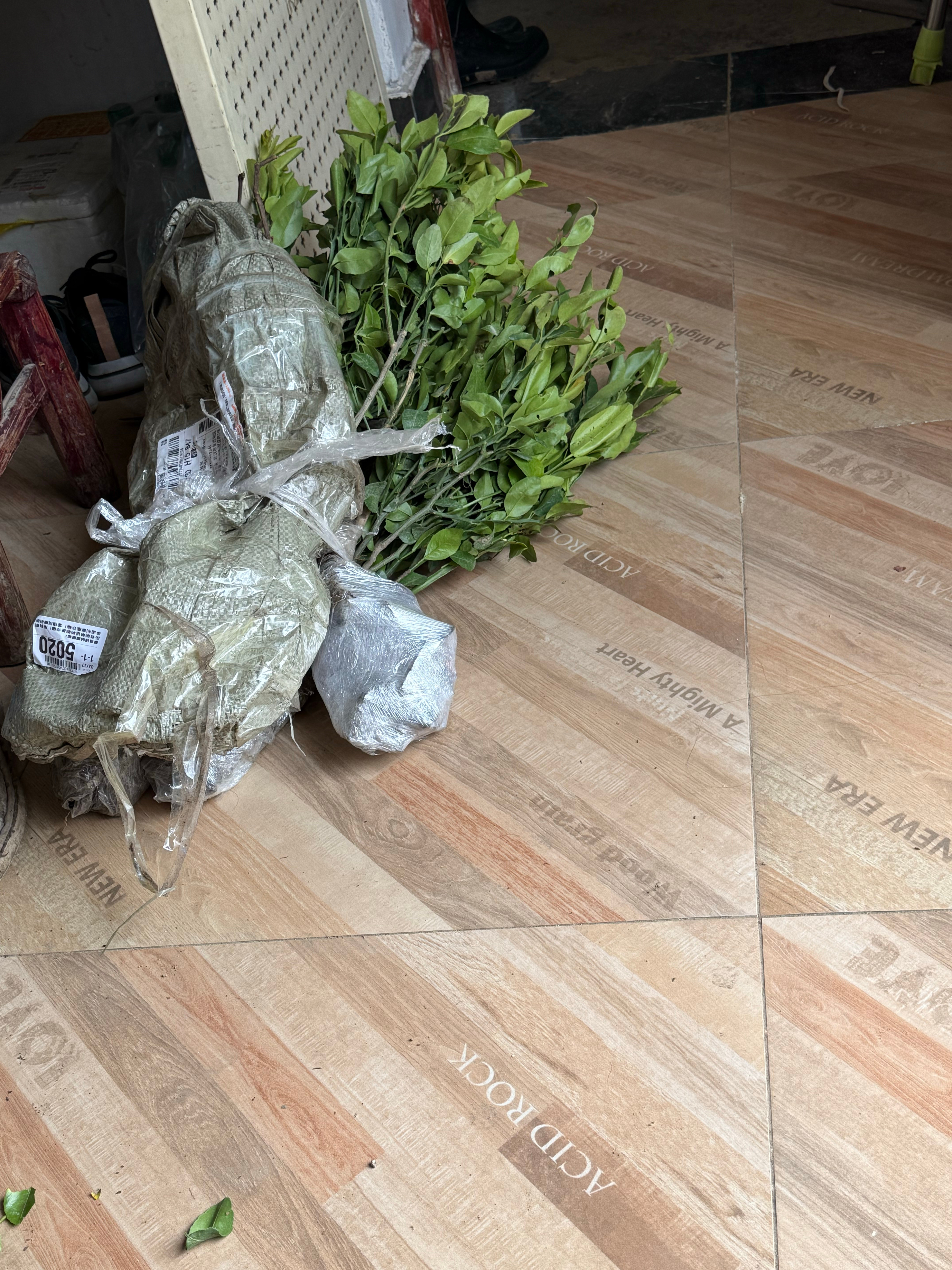 又到开车买了一些树苗和菜种，准备开始各种播种。目前还属于种菜新手阶段，有时候看到