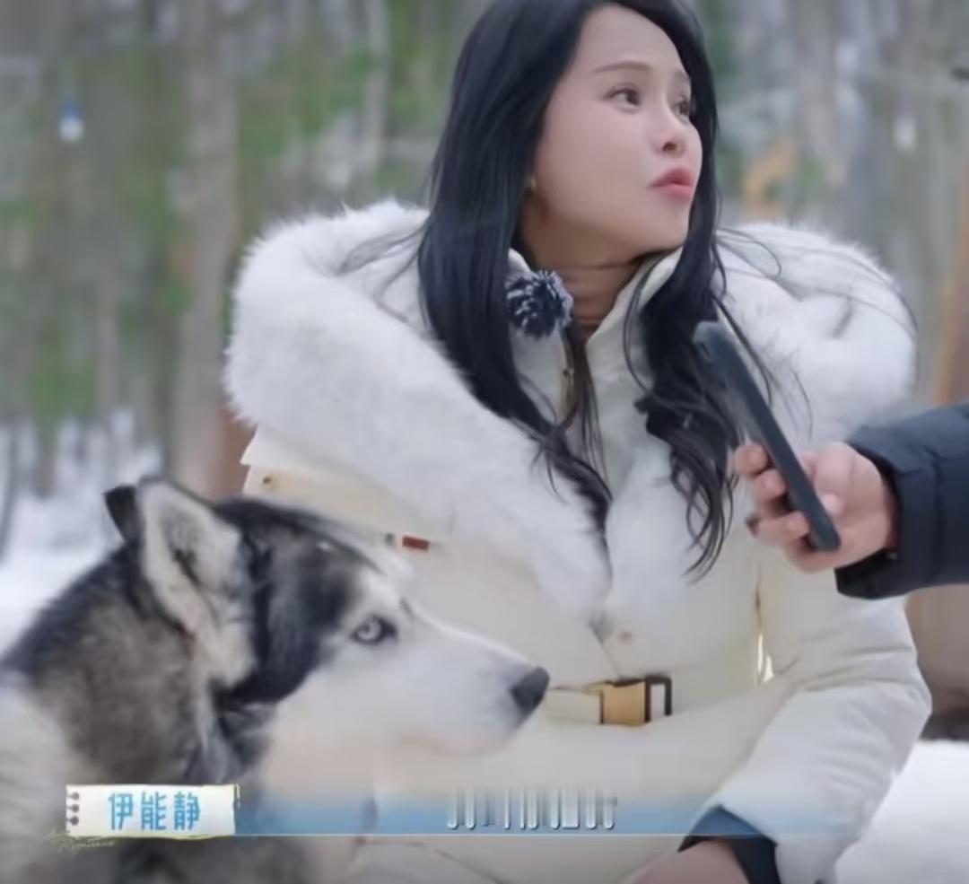 伊能静让秦昊给她跟狗拍照，结果秦昊欠揍的一个劲的拍狗，伊能静：“我叫你拍我，你怎