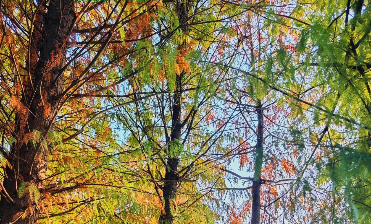 风景如画，美不胜收，心旷神怡风景美照治愈美景照相册里最美天空相册里风景照