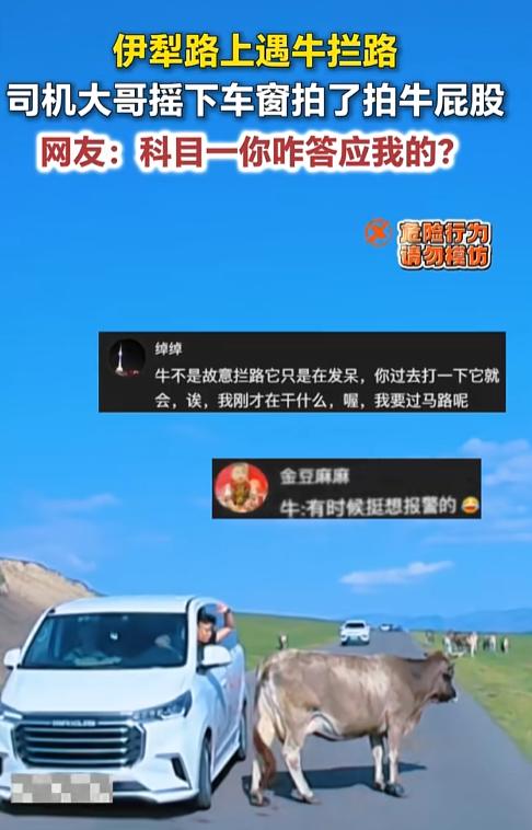 “我就不给你让路！”7月30日，新疆伊犁。哥们儿们，今天路上堵牛了，司机大哥没按