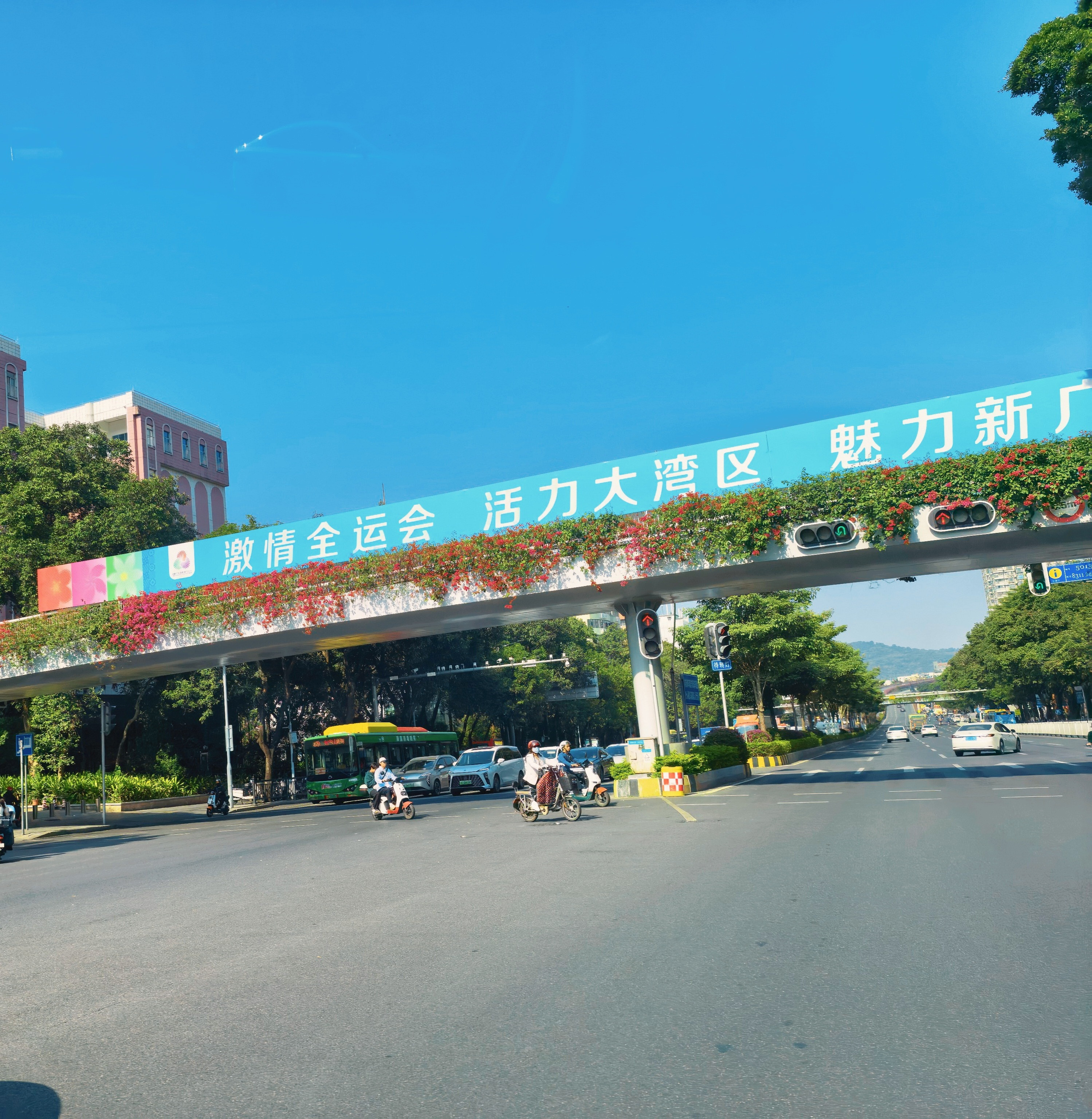 广州的冬天，太巴适了广州