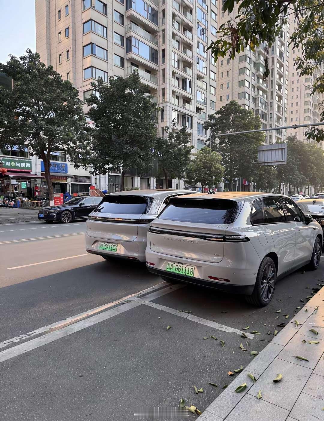 双兔傍地走，安能辨我是……