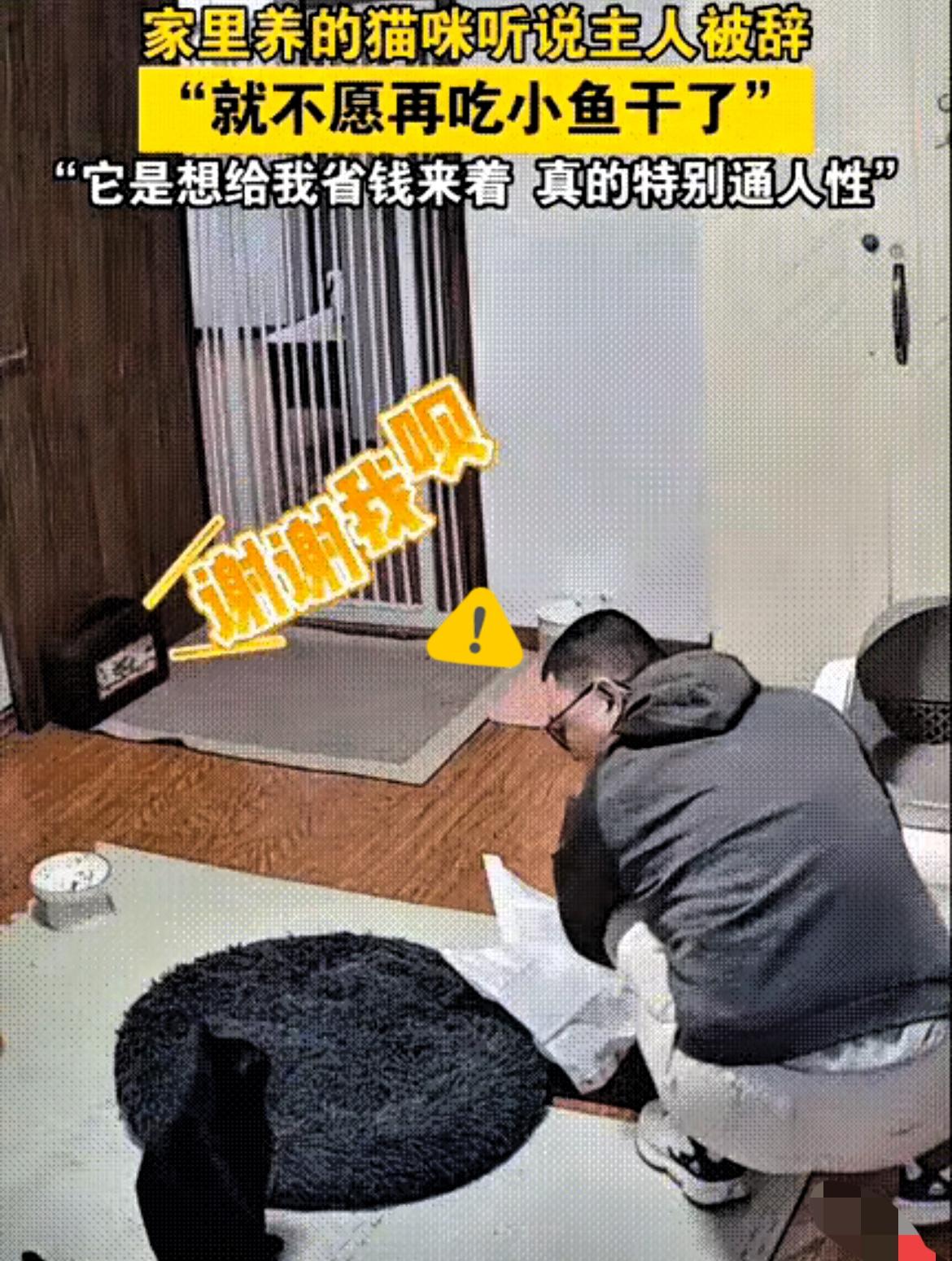 “哎呀，这猫也太有灵性了！”一男子给猫咪换猫砂时，逗它说：“我给你铲屎，你不得谢