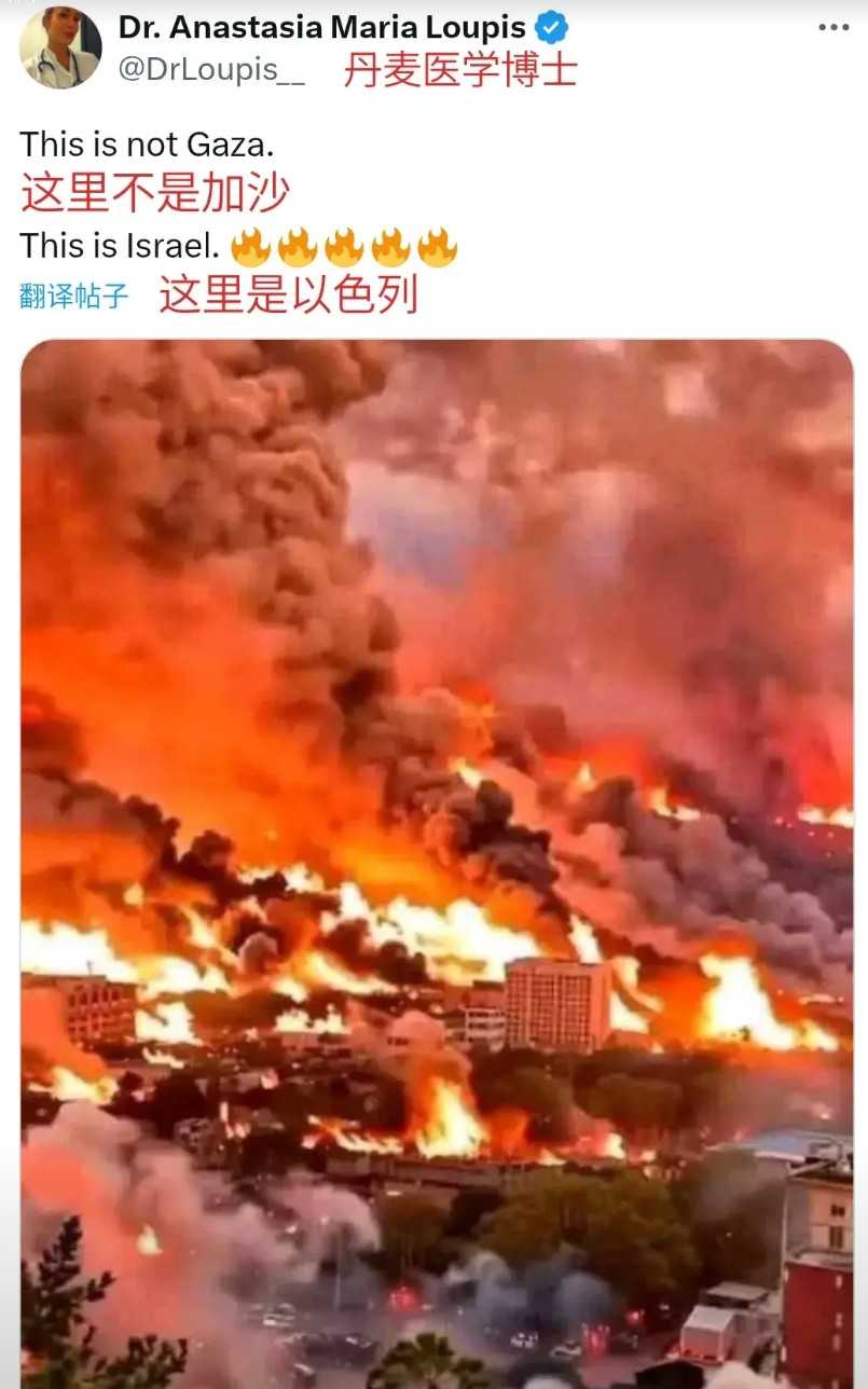 最善良的人们，嘴里说出最邪恶的诅咒！过去24小时，全世界的加沙儿童支持者们，像