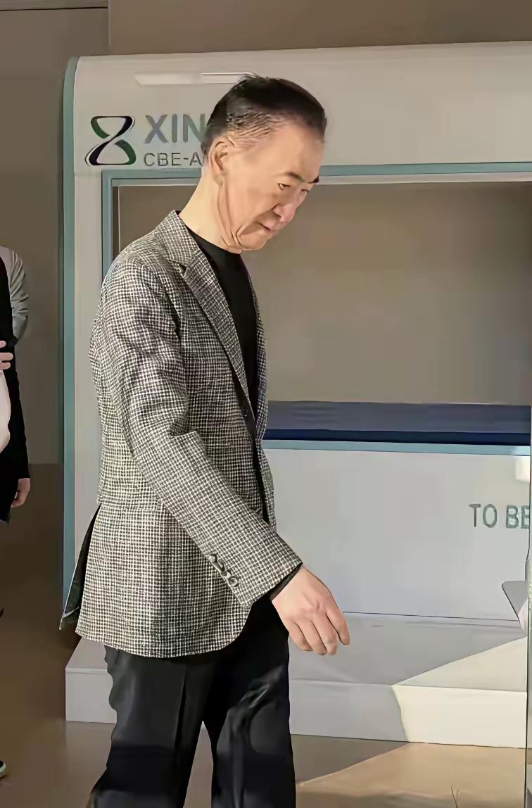 王健林瘦了，瘦骨嶙峋，有些脱相了。不仅仅是身体变瘦，财富也极剧缩水，靠变卖地产还