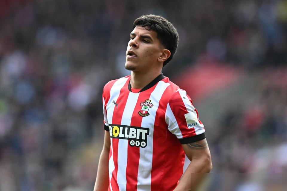 西汉姆联半只脚踩进英冠了。29轮28分排第18，跟第17同分还净胜球落后，后面还