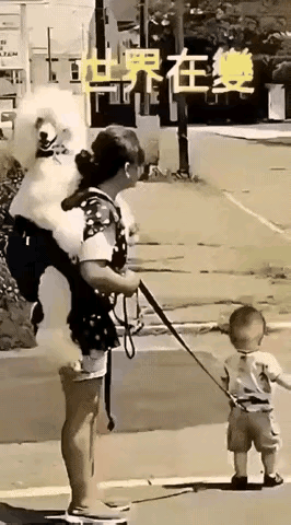 人家遛狗狗她却遛娃，别人牵着狗她牵着娃，人家背着娃她背着狗，难道狗狗比娃还