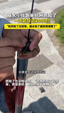 “和捡钱有什么区别！”浙江，男子半夜睡觉被“知了猴”吵醒，一怒之下起来自制工具，