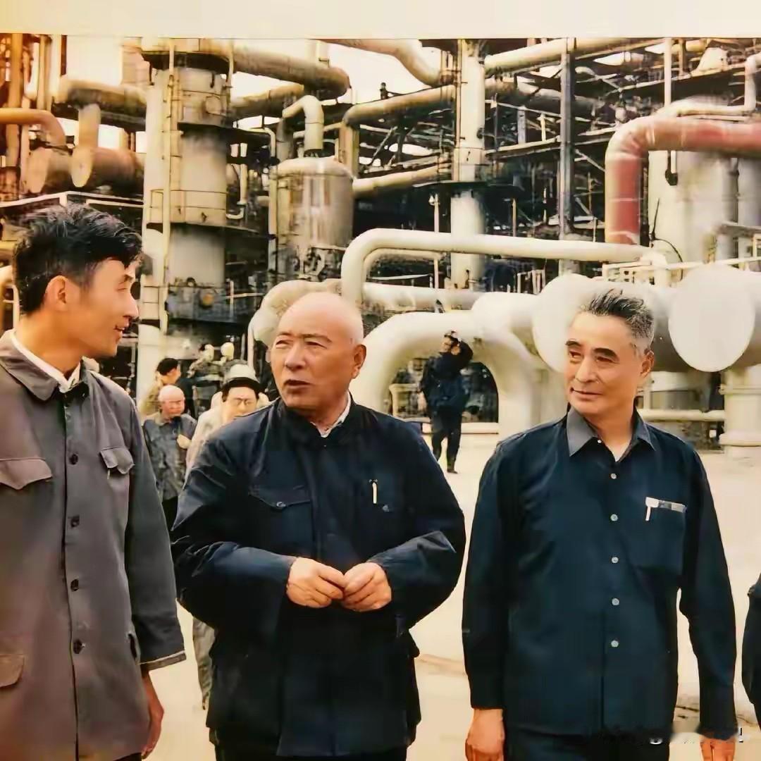 两位全国政协委员考察四川化工厂在1978年两位原国民党高级将领特赦后，在这一