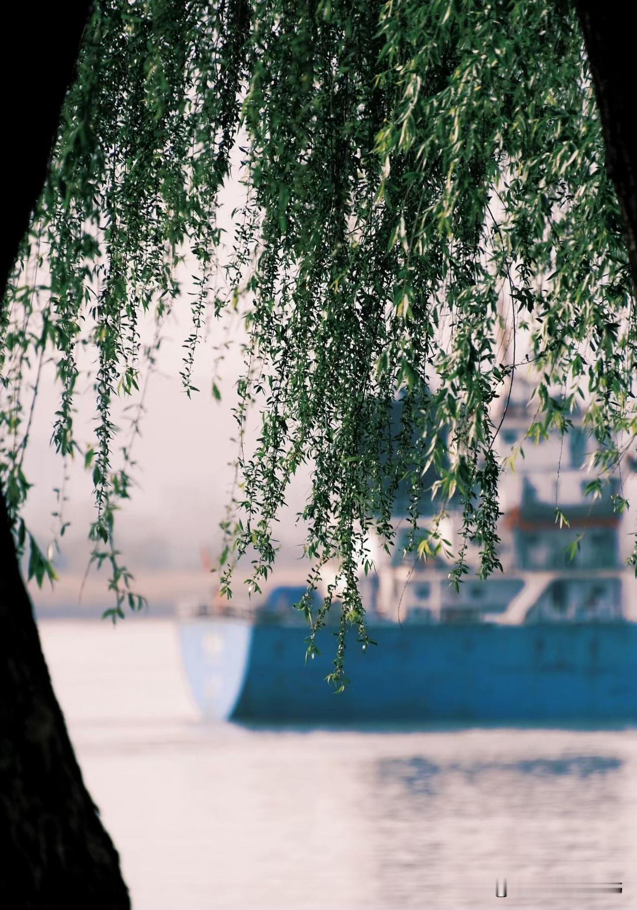 那些说什么租房，以后没房子，会很惨的，都是什么奇葩？第一，现在谁还没有一套房