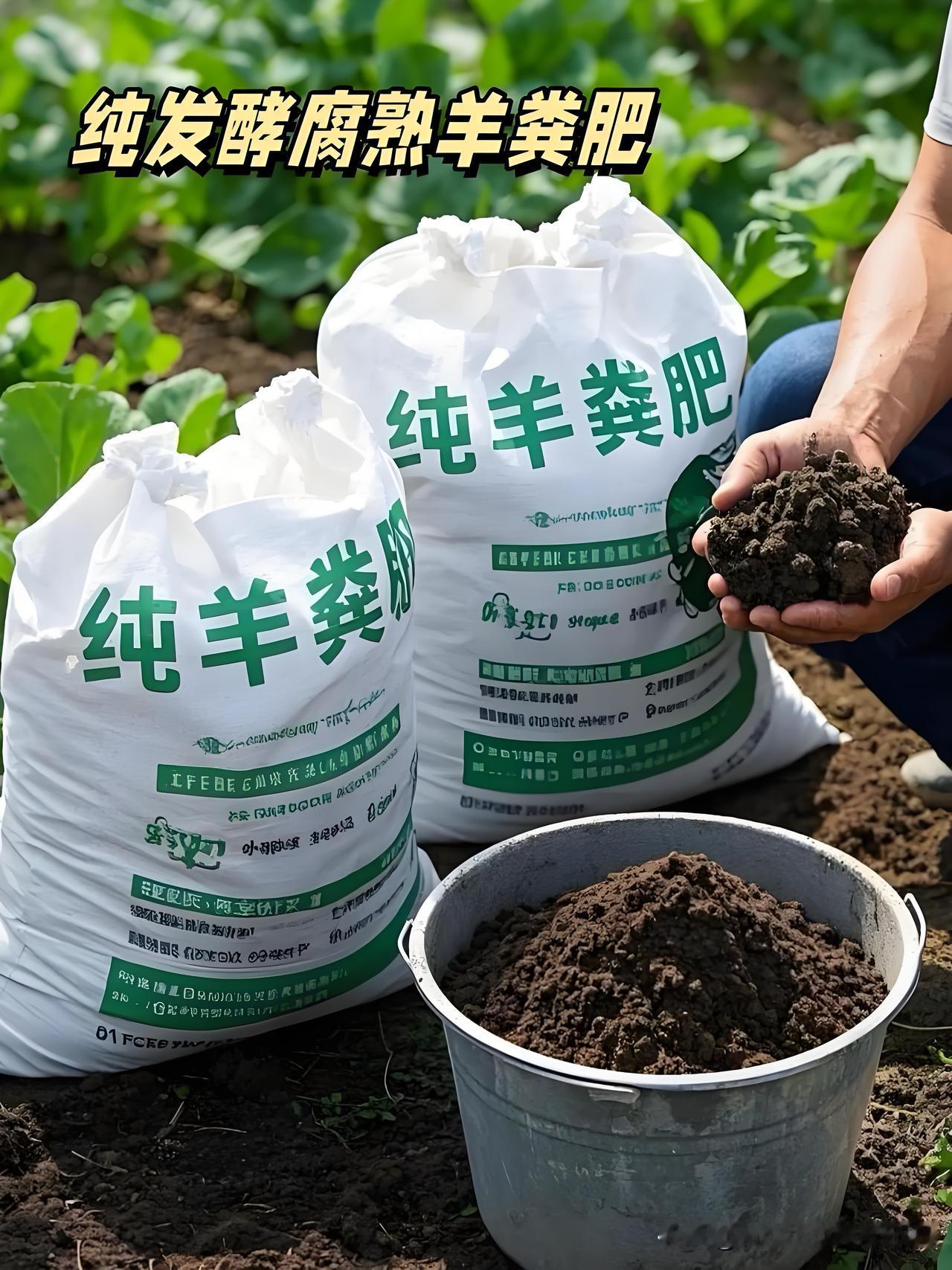 菜地板结病害多？你觉得我这套改土方案怎么样？改良菜园土，说白了就是给土地除