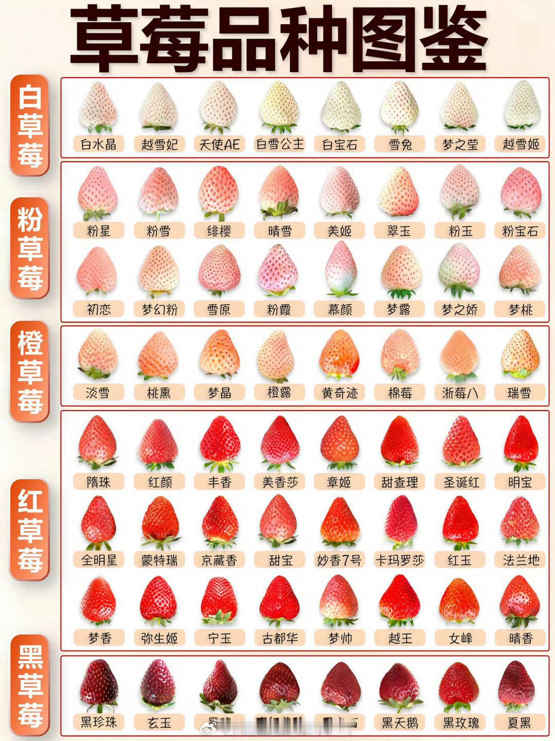 315元一斤的黑草莓9天100多人购买一斤黑草莓卖到315元，吃起来味道会有很大