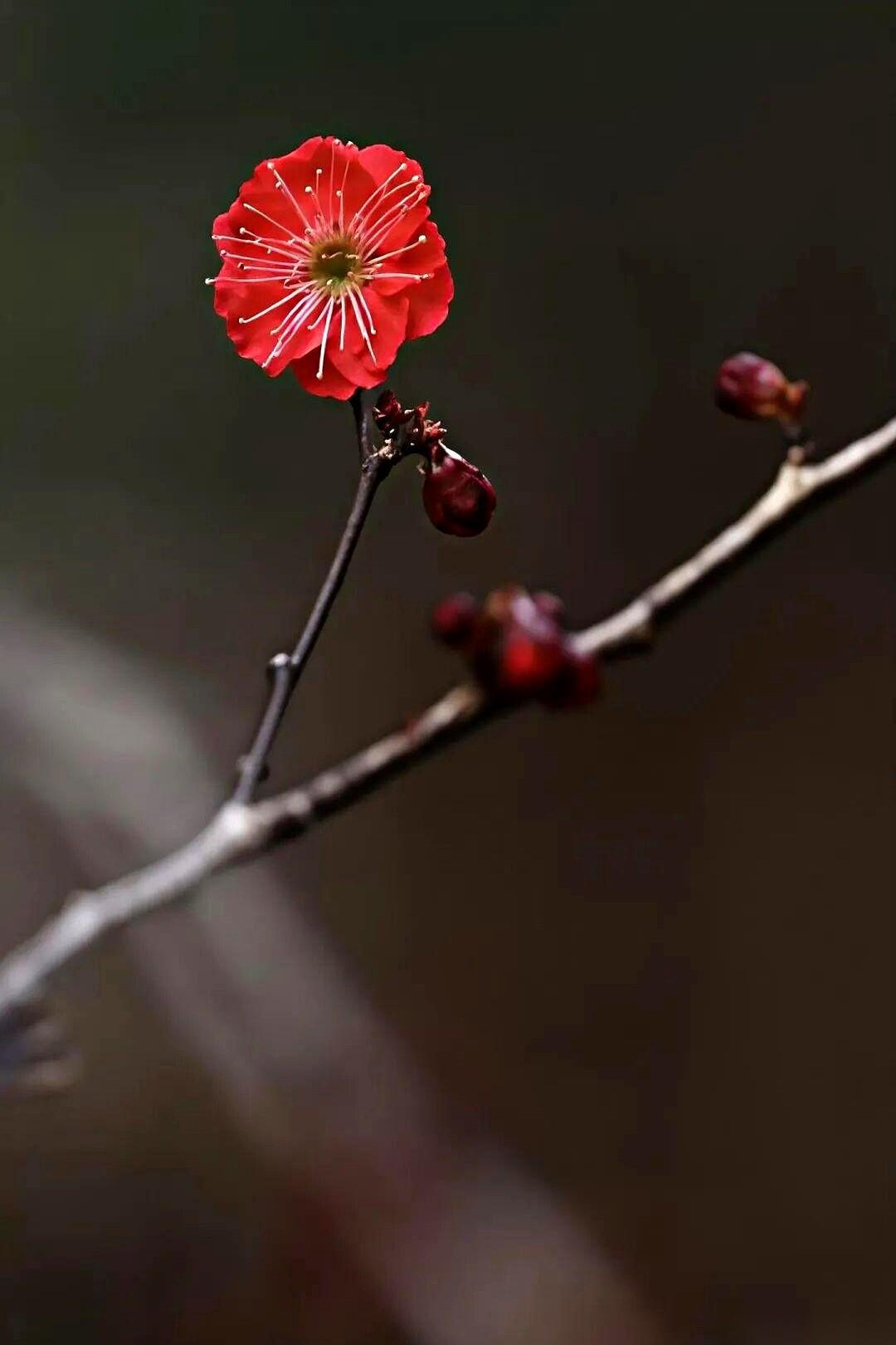 “不去，在你那儿我浑身不自在。”62岁的阿姨，对着自己独生女儿的电话，话说得干
