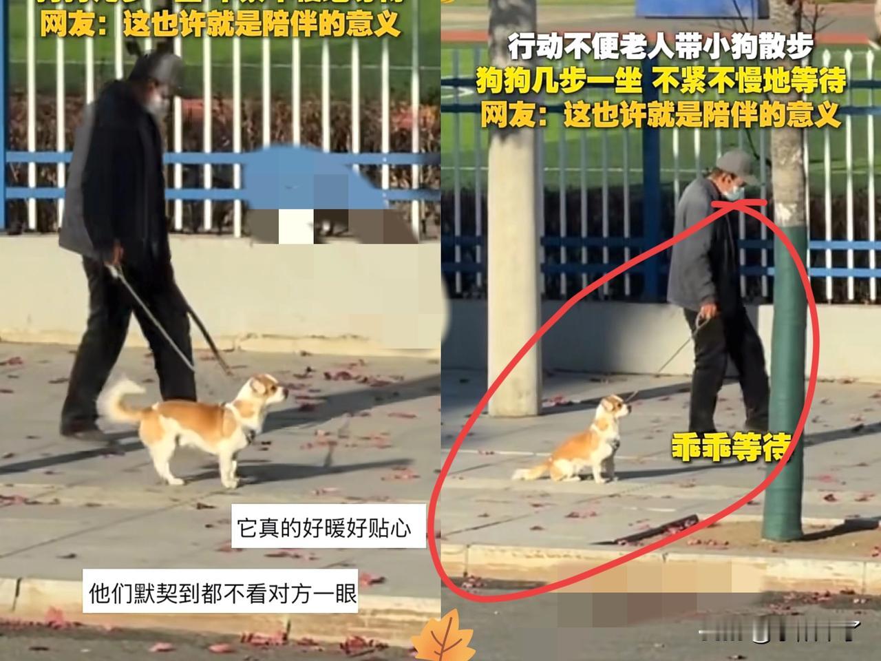 直接火到了新华社!老人拄着拐杖,右腿落地时得先顿一下才能撑住身体,每挪一步都慢