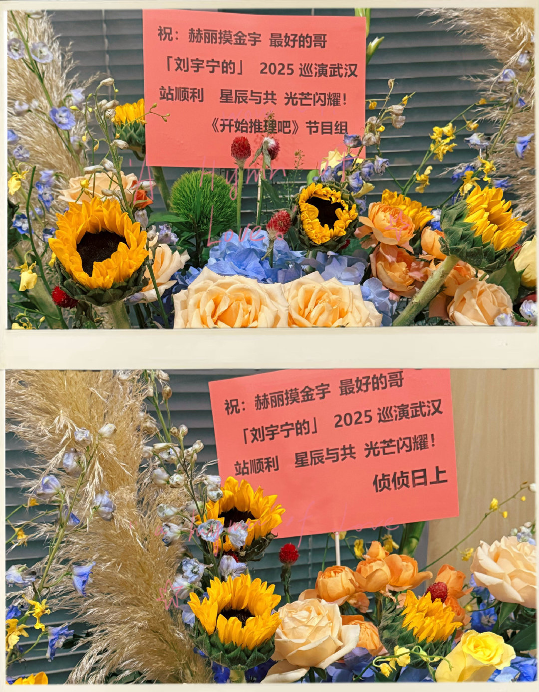 开推给刘宇宁演唱会送花篮开推节目组给刘宇宁演唱会送花篮开推节目组给刘宇宁演唱会送