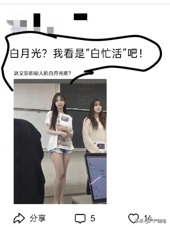这种在学校大把人排着队追求了。