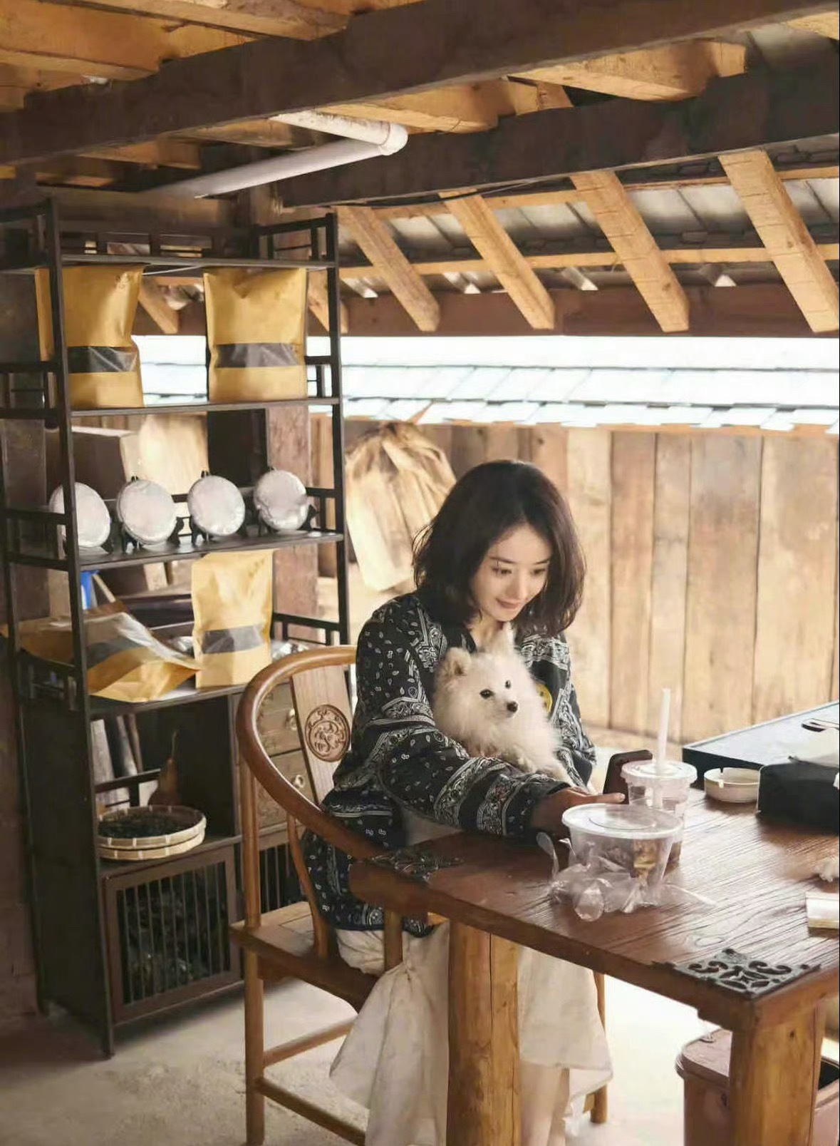 看到赵丽颖19岁的简历，现在真的算是苦尽甘来吧