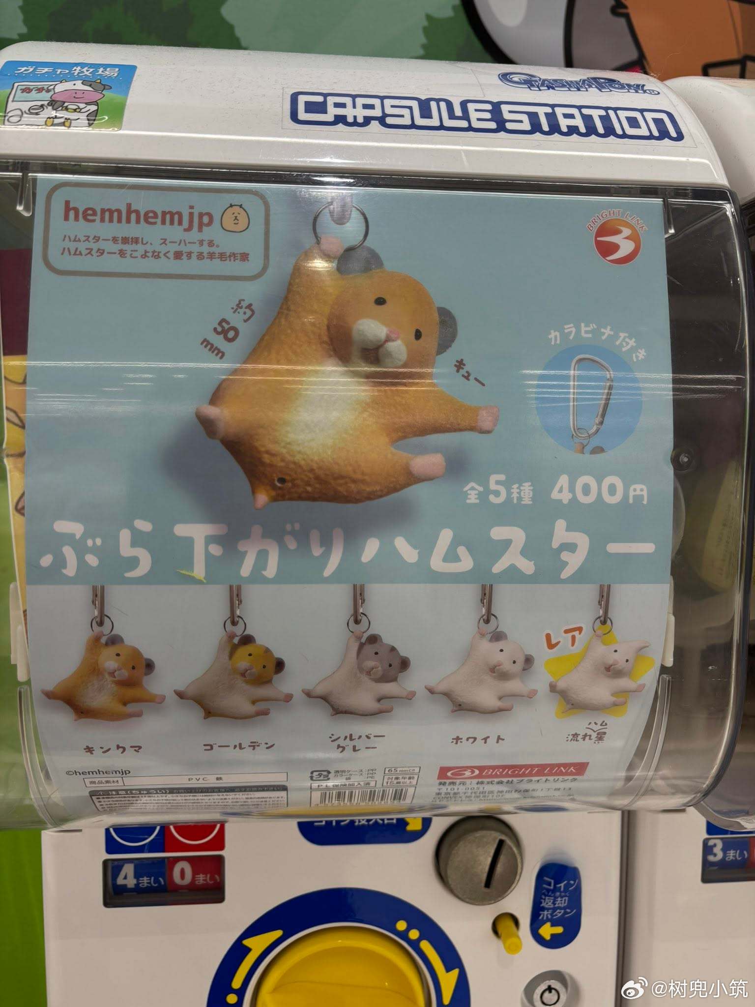 【本来只想要个普通仓鼠，却扭到特殊版】​​​