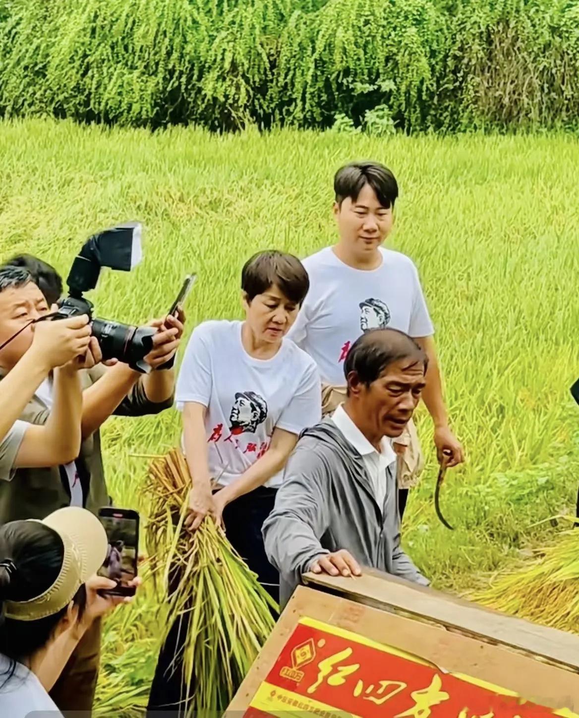 65岁的梁安琪到韶山参与公益，一身朴素打扮，还亲自下田体验打谷子。虽然动作看得出