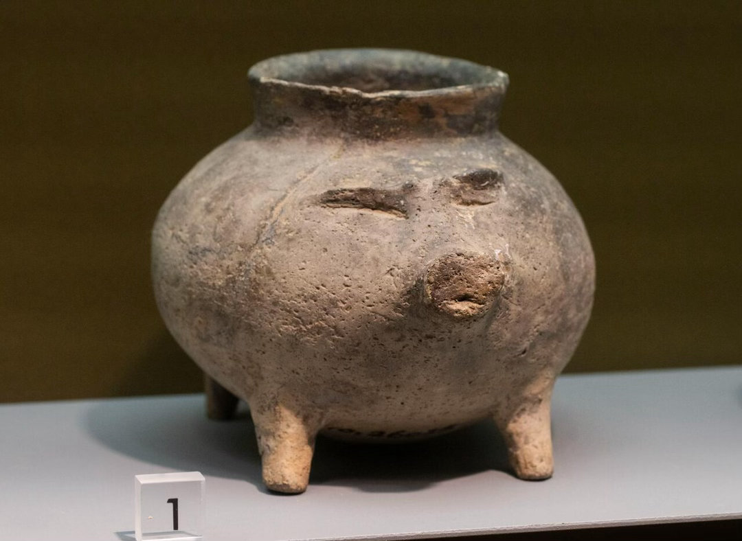 5000年前江苏人就养猪种水稻了南博这九只史前小猪罐真的萌到心化！圆滚滚的身材翘