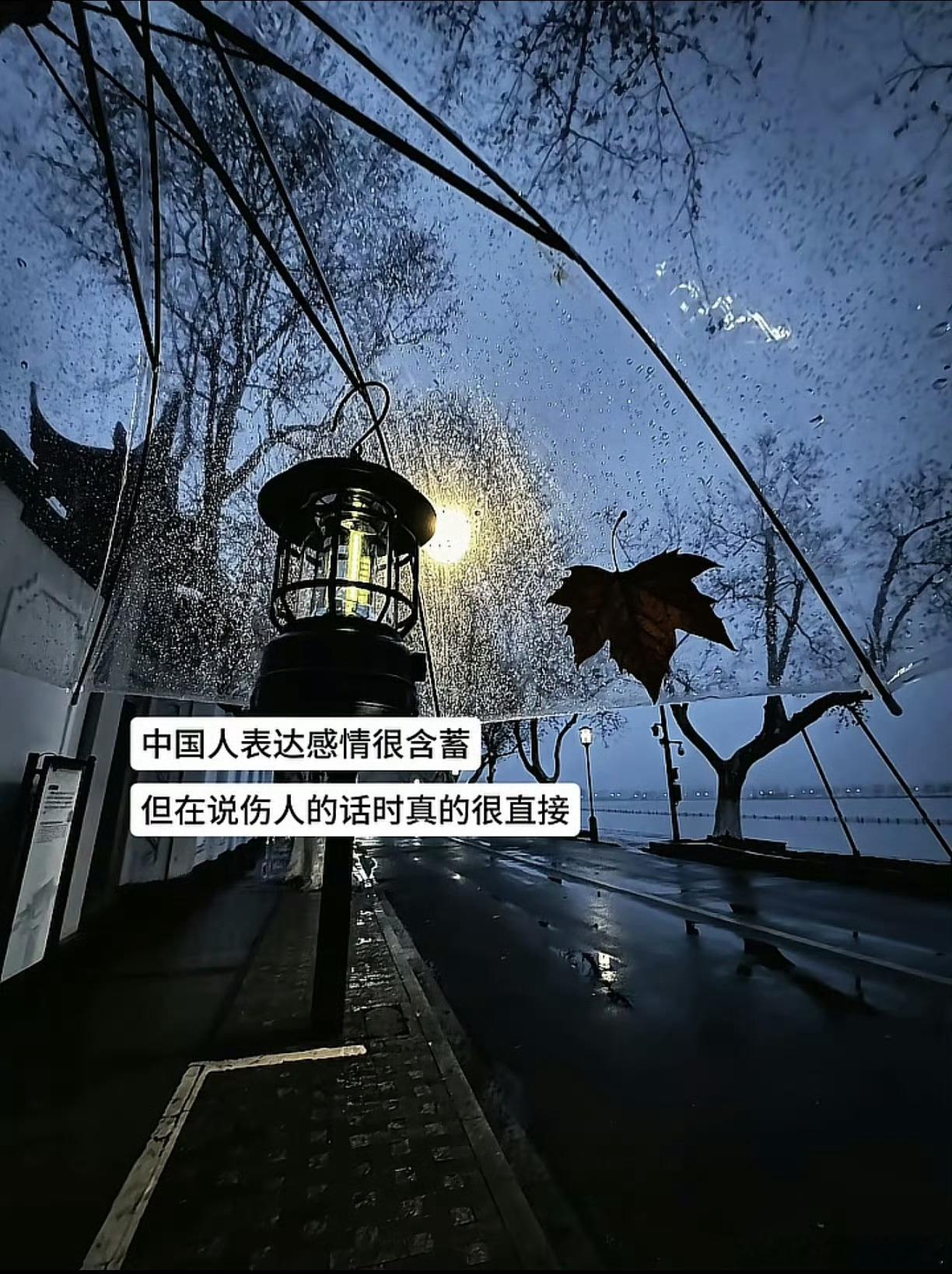 终于明白为啥中国人都容易：“恨脱口而出 爱如鲠在喉”