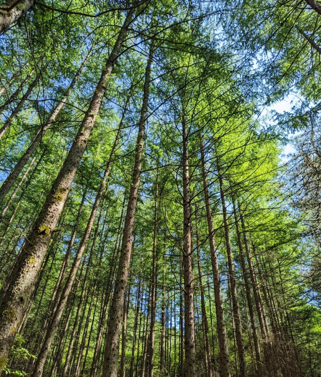 单位里正职面对副职，总是带有一种审视的态度；因为他需要副职有个态度，但是这
