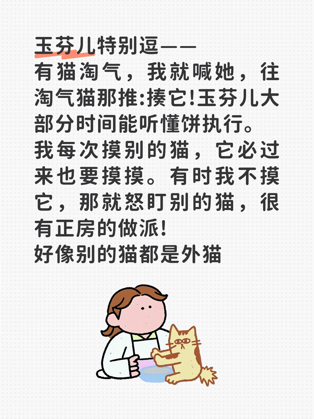 它叫玉芬儿，是我从台球厅领养回来的猫