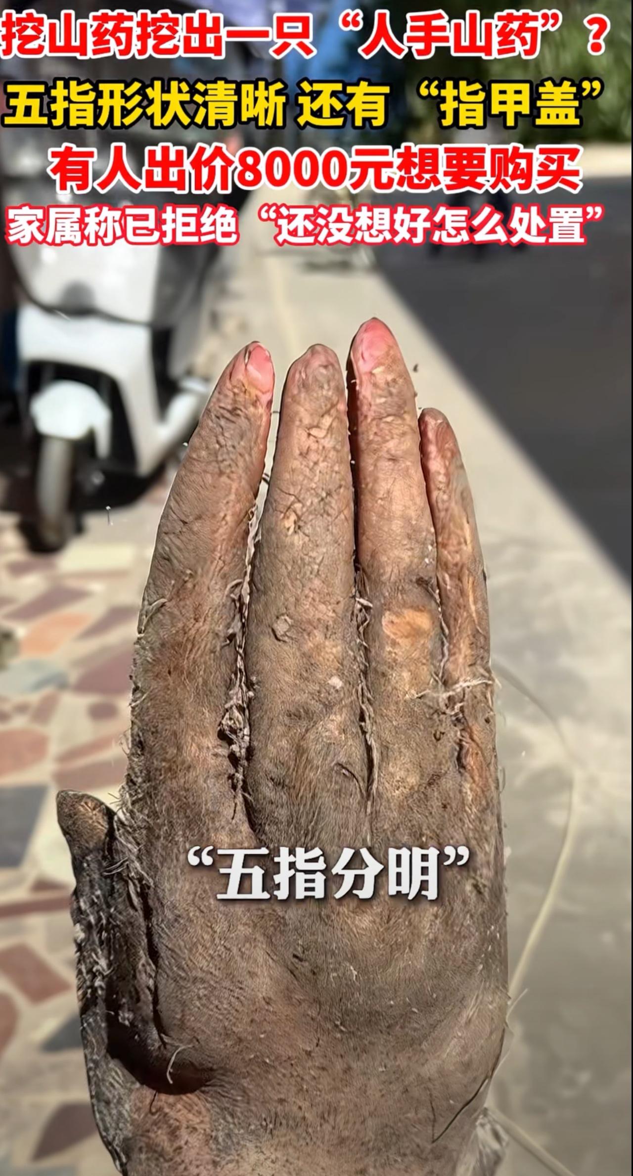 恐怖新奇的真人真事。近日广东一老人挖山药挖到“人手”？当地人表示像“淮