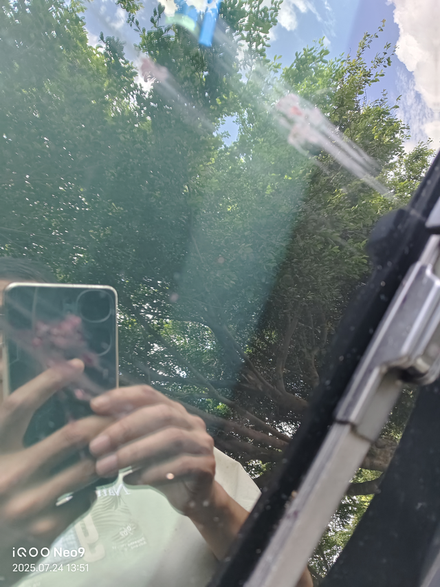 兄弟们这种用啥子洗掉停在树下，车顶和前挡风玻璃全是这种黑紫色小果子砸出来的印子