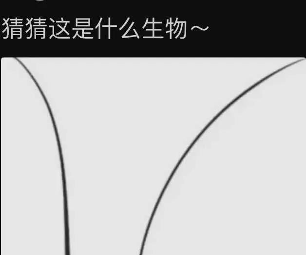1％是孙悟空，1％是吕布，98％是广东双马尾？