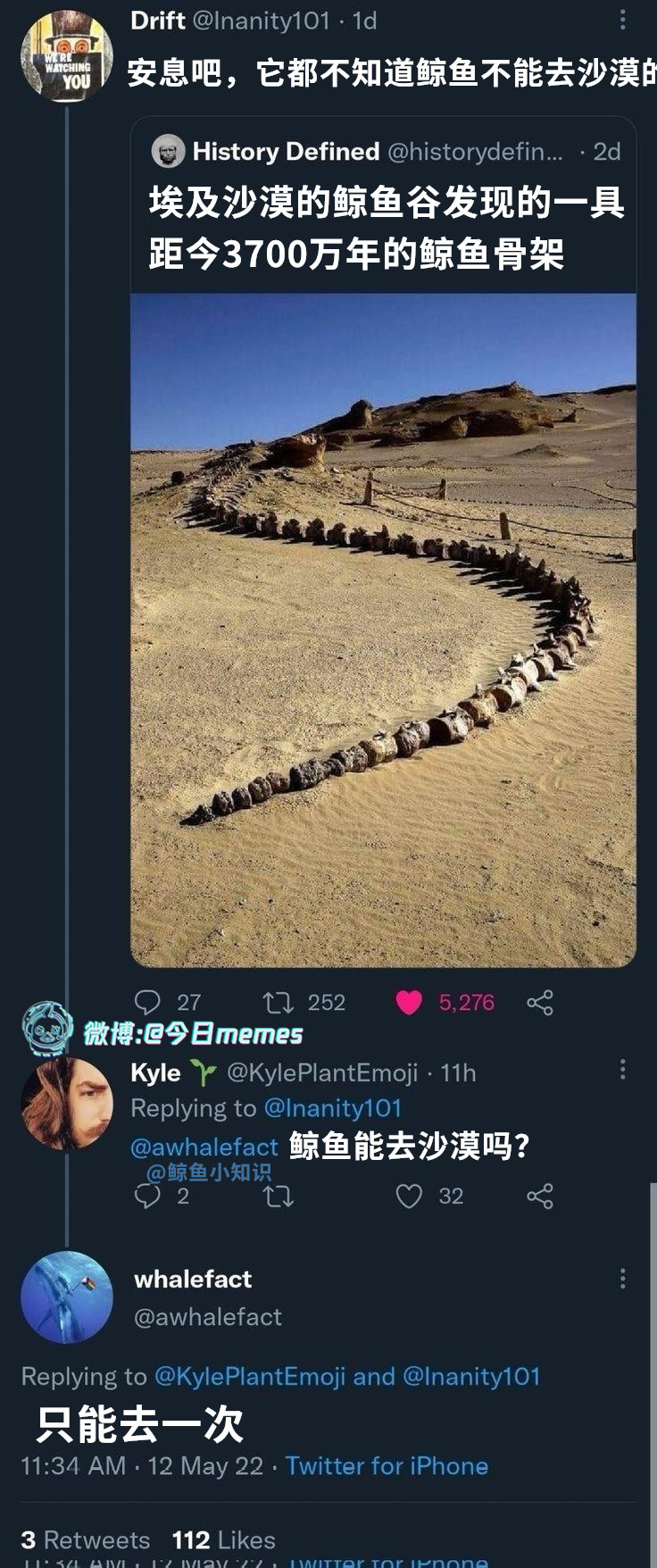 朝圣（9gag）今日meme今日memes