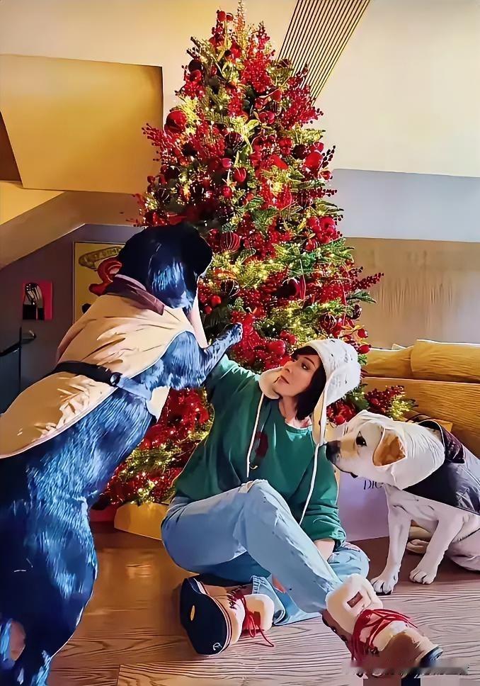 钱再多又有什么用刘嘉玲在500平的奢华豪宅过圣诞，因为无儿无女，只有两只狗陪伴
