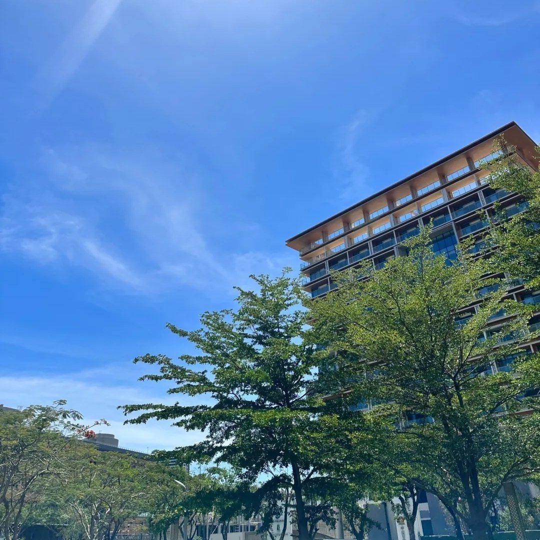 今天天气可真好啊~海水都是提夫尼蓝就是这个季节到海边有点热，基本上九点多就能感