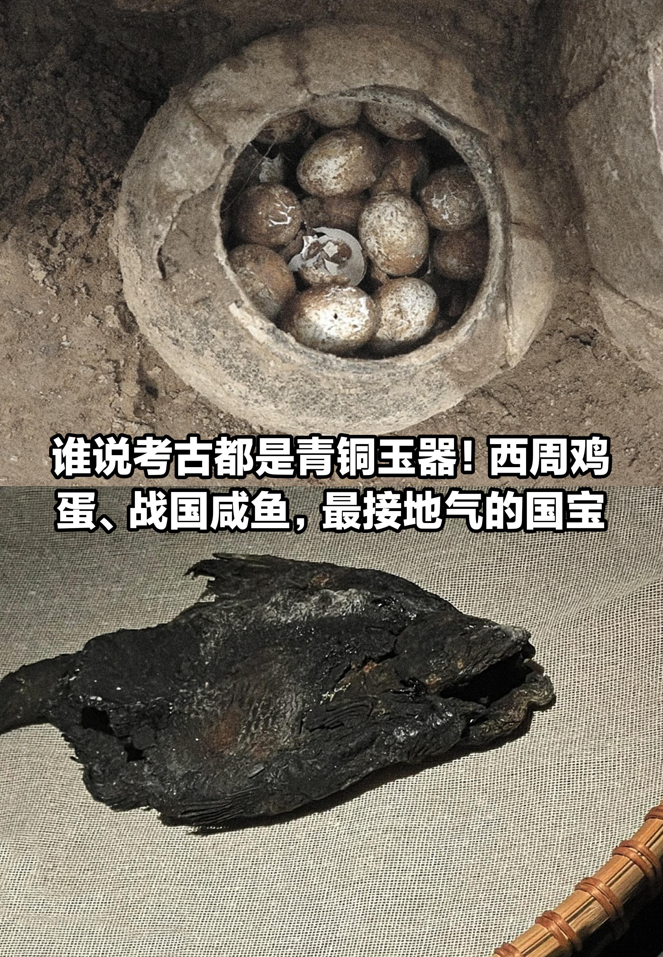 西周的鸡蛋，战国的咸鱼，原来历史并不遥远。