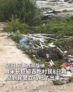 “真的让人意想不到！”6月30日，云南西双版纳，一条4米长的大蛇偷偷溜进村民家，