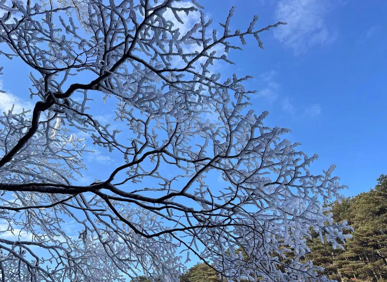 美丽的家乡三清山登上山顶看美景雪山景色自然奇观难得一见雪山爬山推荐三清
