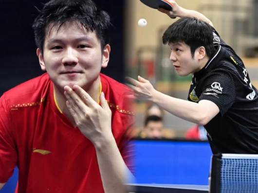 樊振东属于超级天才，成名太早，他如果正常打到35岁左右，所有记录都会被他打破！现