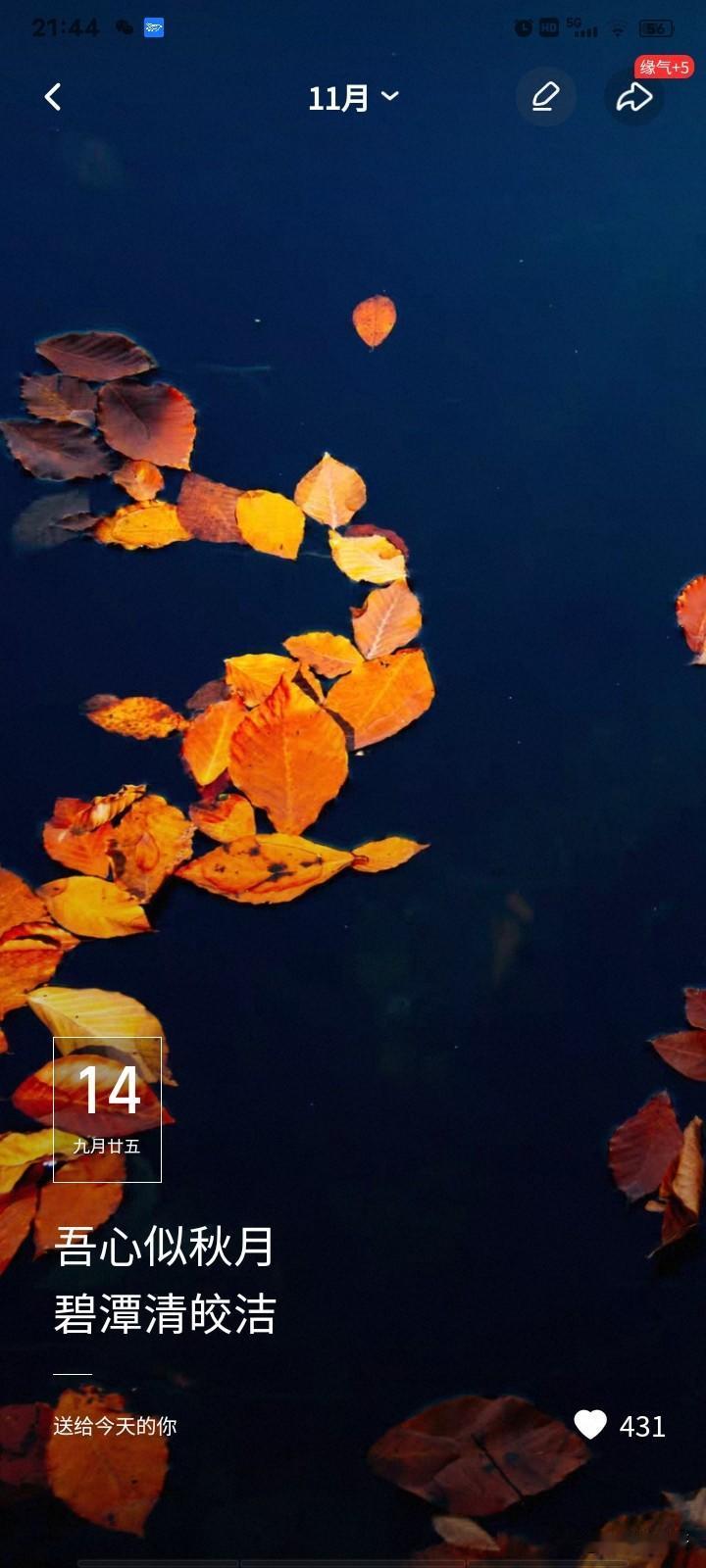 这大概就是秋天的景色吧！