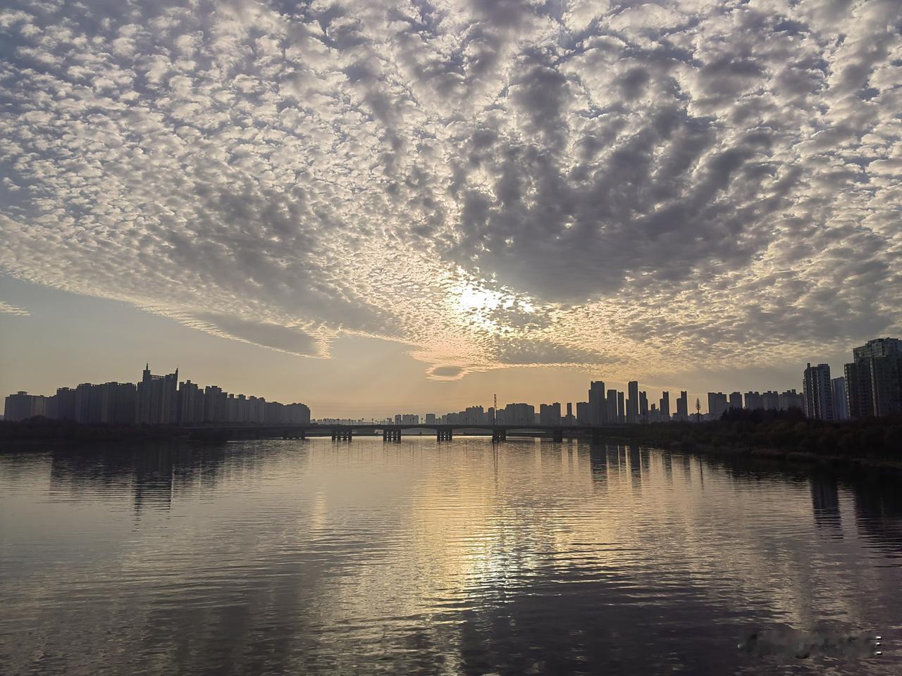 中午准备午休时，手机收到一条邀请信息。同事儿子结婚，邀请我想参加他儿子的婚宴，