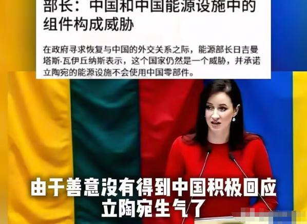 立陶宛表示，严禁使用中国零部件。 目前，立陶宛正在大力发展风能和太阳能发电，