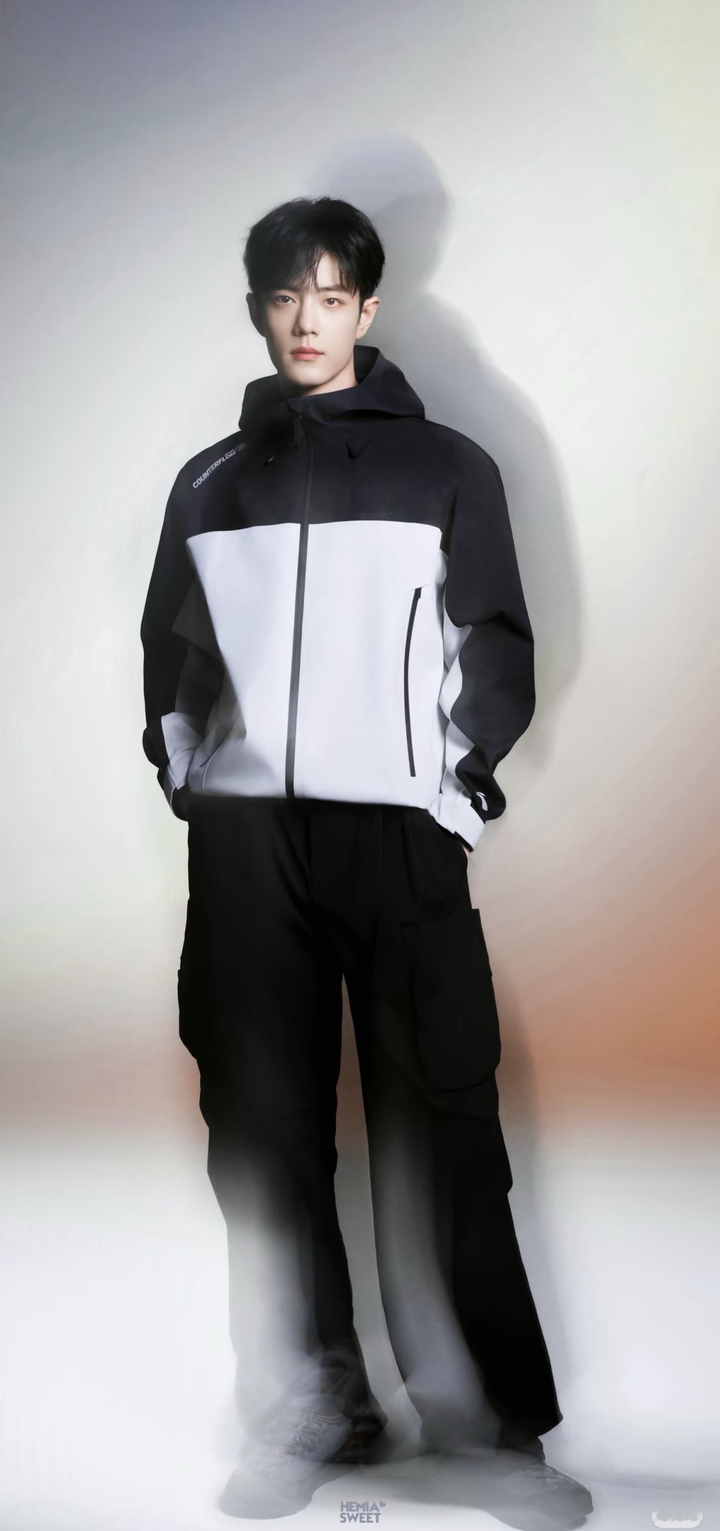 鹅这几天辟的谣：唯肖战，快开机，无女主，无后宫十日终焉作品简介