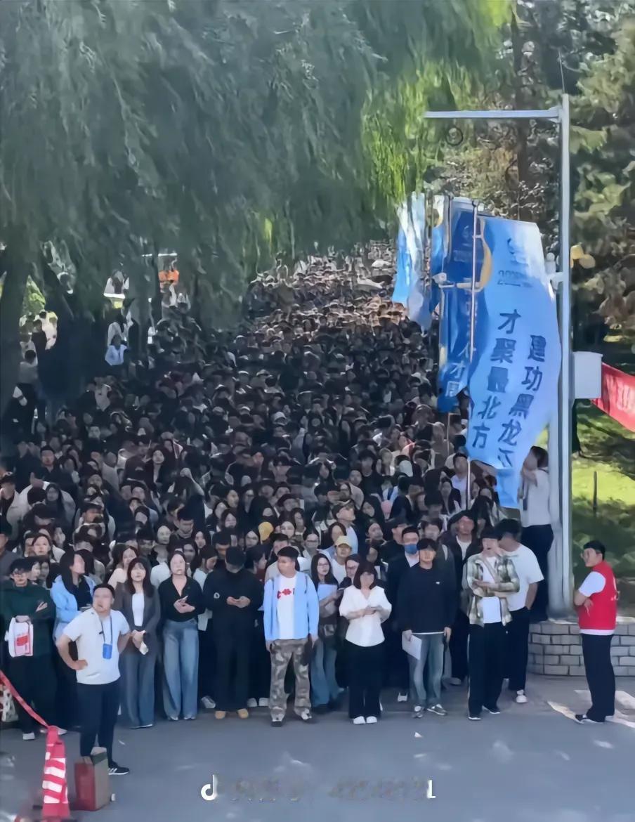 傻眼了，11万年轻人参加招聘会，人山人海都不足以形容当时的场面。黑龙江举行的高