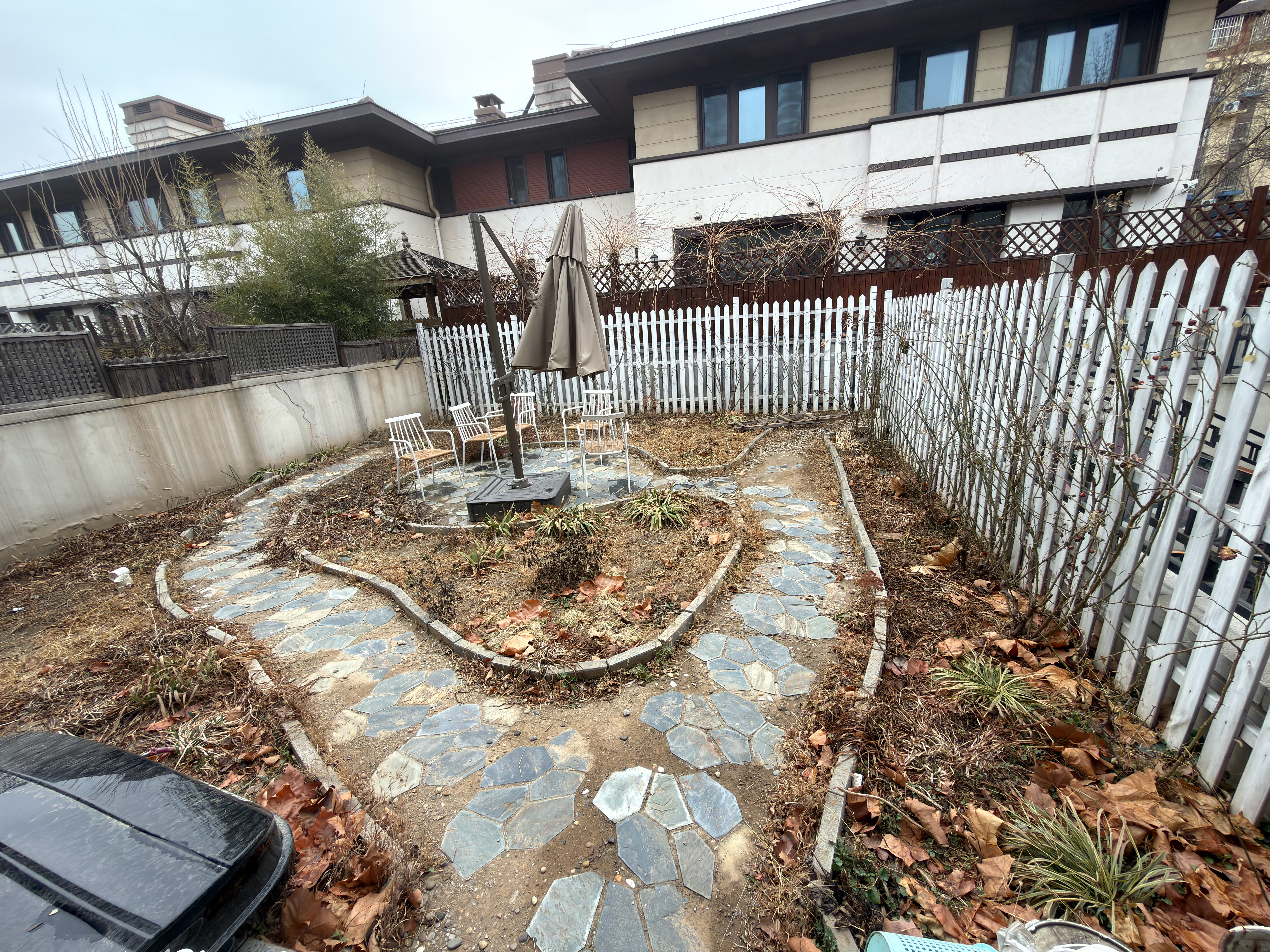 当你在北京有个花园每一年春天，都栽花种草每一年冬天，都给冻死了真心求教，今年春天