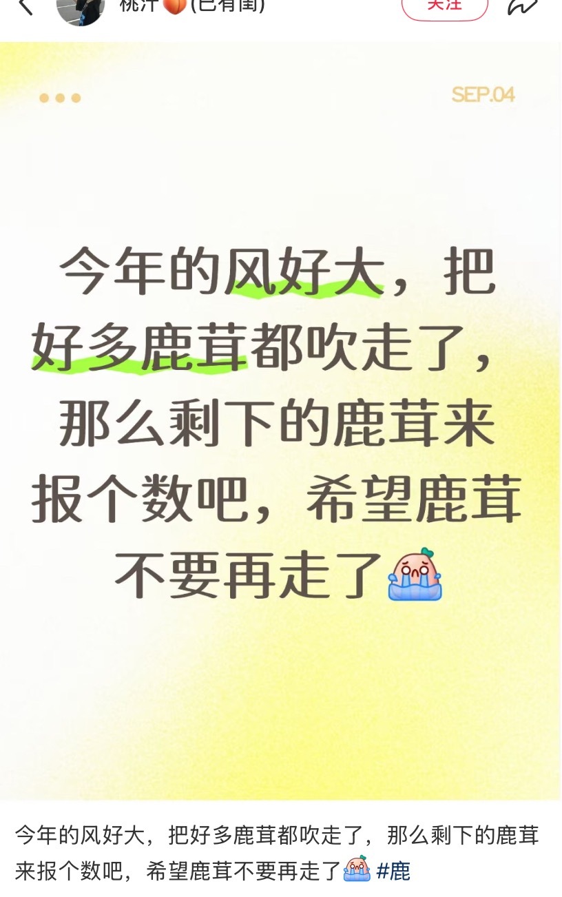 那咋办同担你补药被风吹走哇​​​