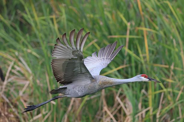 一位心理学老师说：一旦识别出这种人，一定要赶紧逃离。有一种人，你一旦深度接触