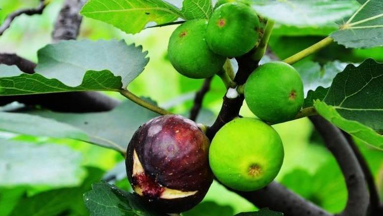 8348776487755792492.jpg?id=0