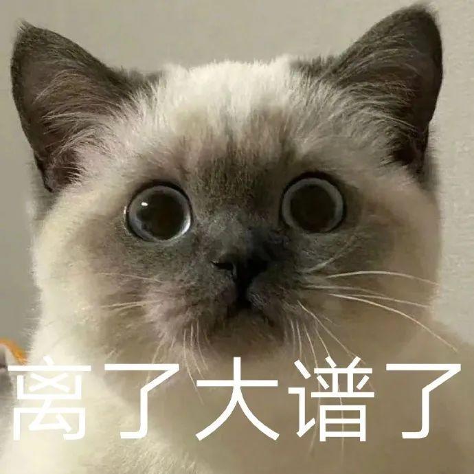 网友总结：很多男频小说只有男主很多女频文也只有男主（女主只为烘托男主的高光