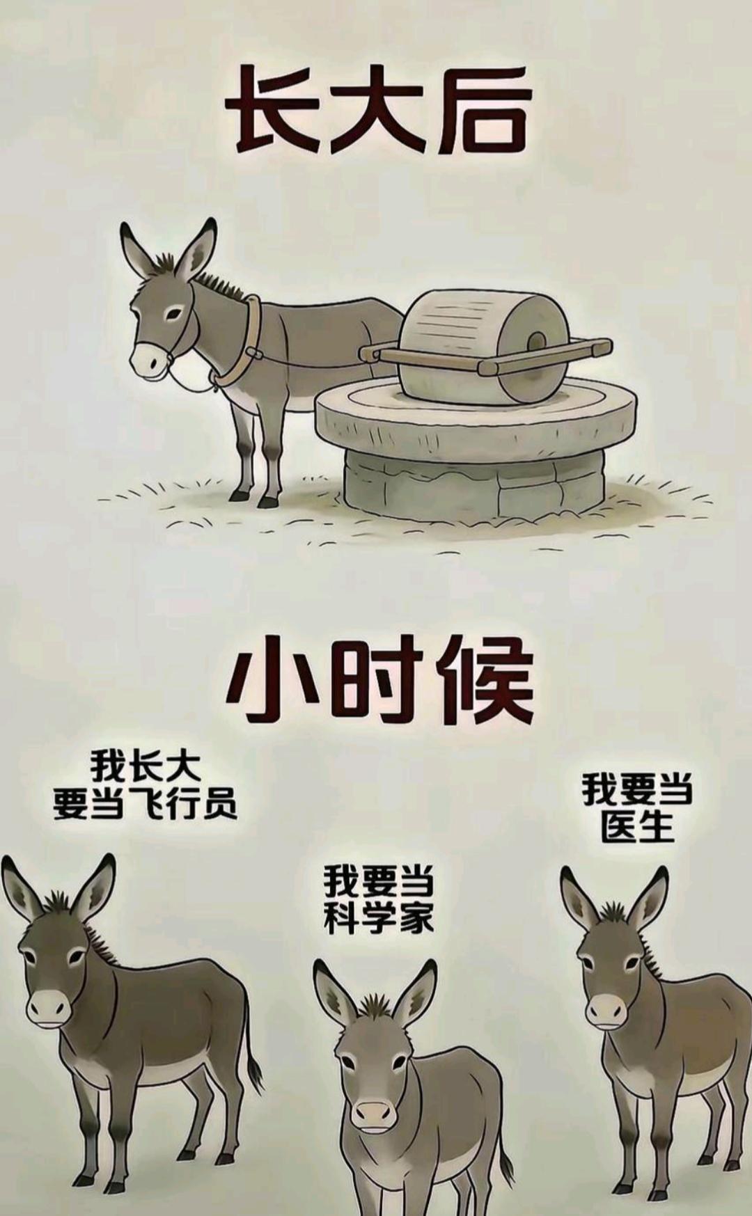 别再纠结长大后拉磨了！至少有磨拉！至少还没做成火烧！[无奈吐舌]